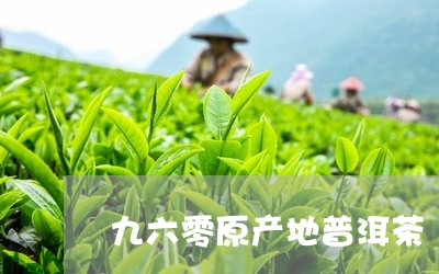 九六零原产地普洱茶/2023080380492