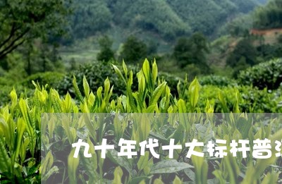 九十年代十大标杆普洱茶品牌/2023110244925