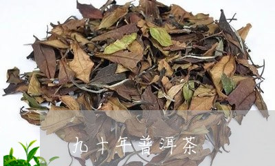 九十年普洱茶/2023042500223