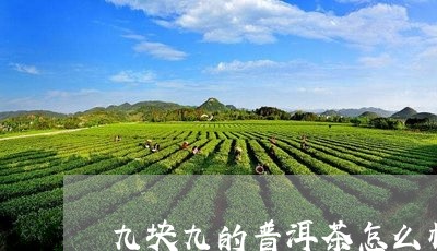 九块九的普洱茶怎么样/2023092658169