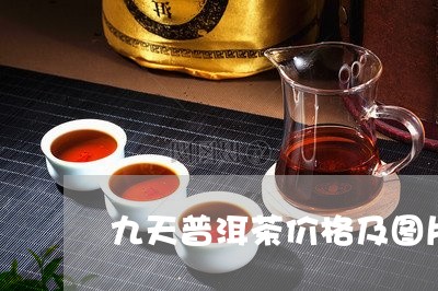 九天普洱茶价格及图片/2023072151683