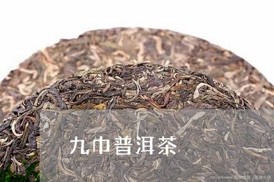 九巾普洱茶/2023090695927