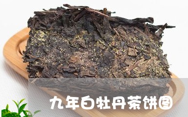 九年白牡丹茶饼图/2023061429493