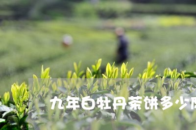 九年白牡丹茶饼多少度/2023120988282