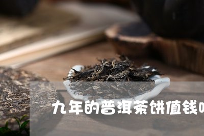 九年的普洱茶饼值钱吗/2023093023625