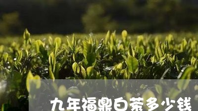 九年福鼎白茶多少钱/2023120319575