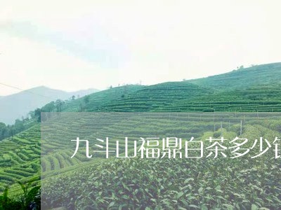 九斗山福鼎白茶多少钱/2023120714389