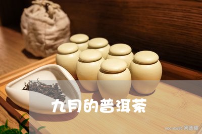 九月的普洱茶/2023090632695