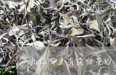 九江哪里有卖白茶的/2023121661504