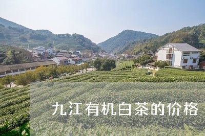 九江有机白茶的价格/2023121669374