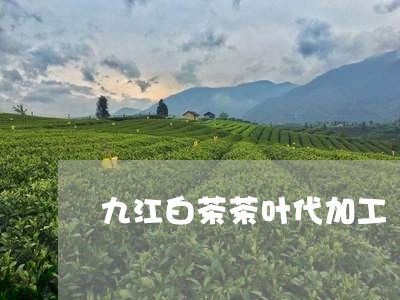 九江白茶茶叶代加工/2023071487451