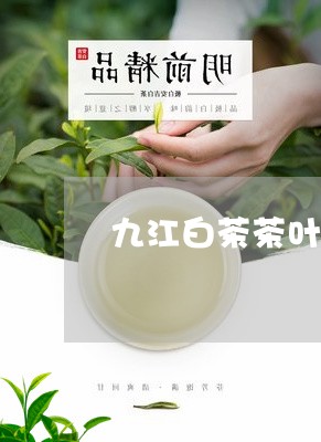 九江白茶茶叶经销商/2023071409473