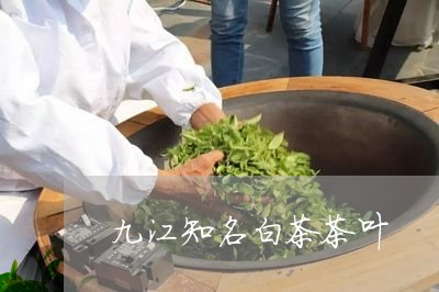 九江知名白茶茶叶/2023061407260