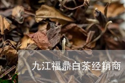 九江福鼎白茶经销商/2023120363826