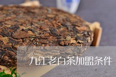 九江老白茶加盟条件/2023121611713