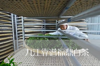 九江靠谱福鼎白茶/2023090946082