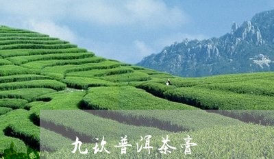 九玖普洱茶膏/2023042791331