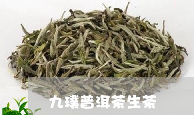 九璞普洱茶生茶/2023101682927