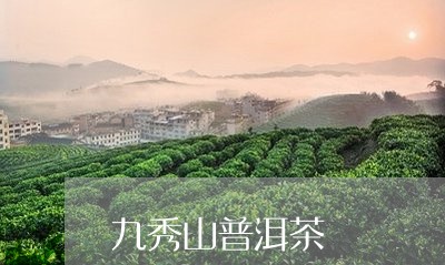 九秀山普洱茶/2023042634671