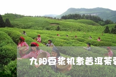 九阳豆浆机煮普洱茶要煮多久/2023052860713