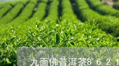 九面佛普洱茶8621/2023062740472