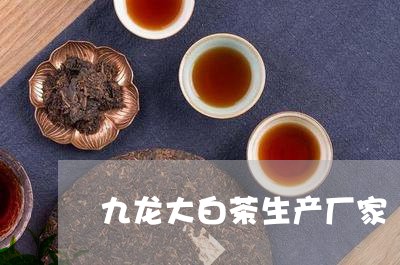 九龙大白茶生产厂家/2023121605248