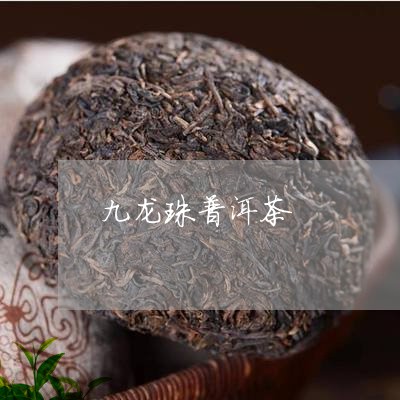 九龙珠普洱茶/2023042817877