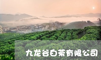 九龙谷白茶有限公司/2023121650460