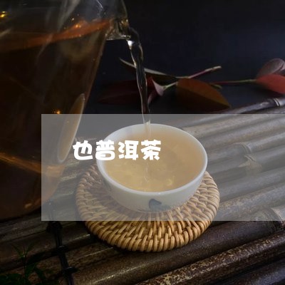 也普洱茶/2023121893926