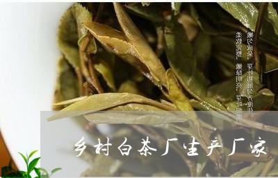 乡村白茶厂生产厂家/2023121615582