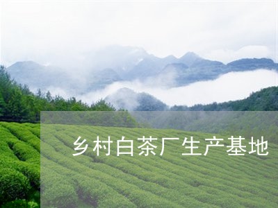 乡村白茶厂生产基地/2023121623815