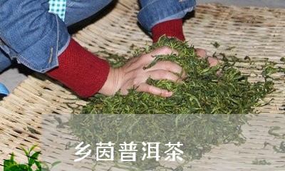 乡茵普洱茶/2023090682816