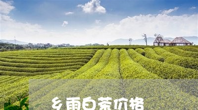 乡雨白茶价格/2023051294949