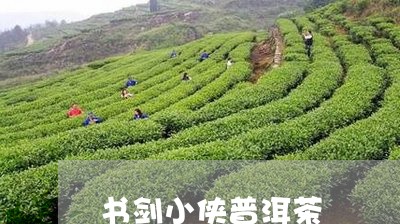 书剑小侠普洱茶/2023102646270