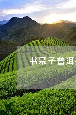 书呆子普洱茶保真吗/2023120586157