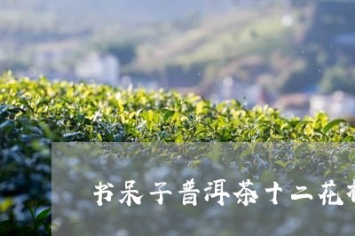 书呆子普洱茶十二花神/2023093082805