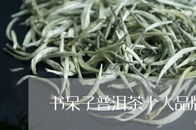 书呆子普洱茶十大品牌/2023092636062