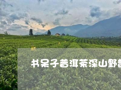 书呆子普洱茶深山野韵/2023093012926