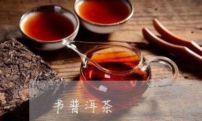 书普洱茶/2023110872604