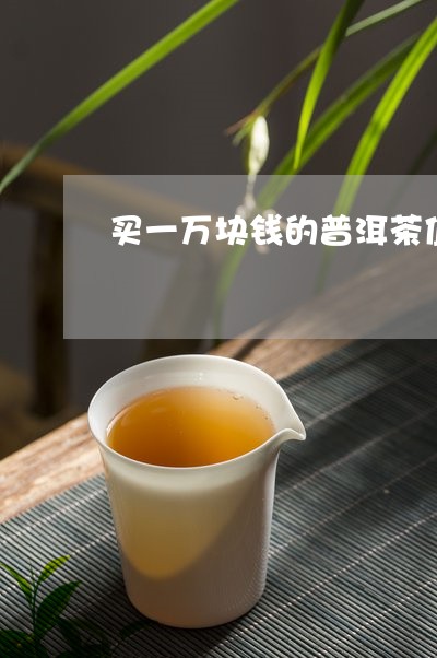 买一万块钱的普洱茶值得吗/2023102575817