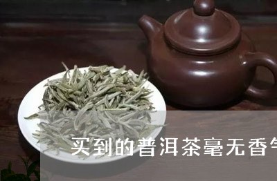 买到的普洱茶毫无香气/2023080284059