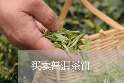 买卖普洱茶饼/2023042746650