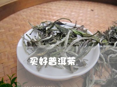 买好普洱茶/2023090649683