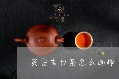 买安吉白茶怎么选择/2023121647372