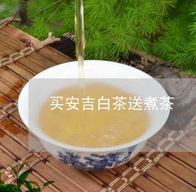 买安吉白茶送煮茶/2023061493597