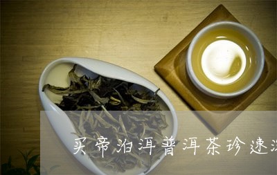 买帝泊洱普洱茶珍速溶茶怎么喝/2023082812935