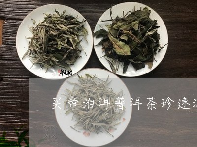 买帝泊洱普洱茶珍速溶茶怎么喝/2023110462714