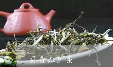 买昔归生茶/2023090346358