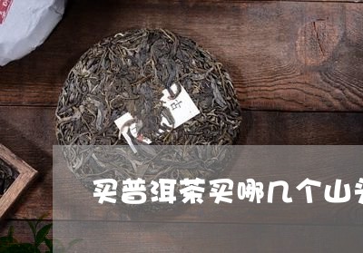 买普洱茶买哪几个山头/2023092934848