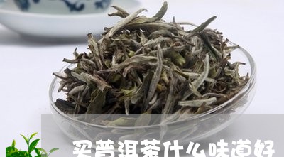 买普洱茶什么味道好/2023071185147